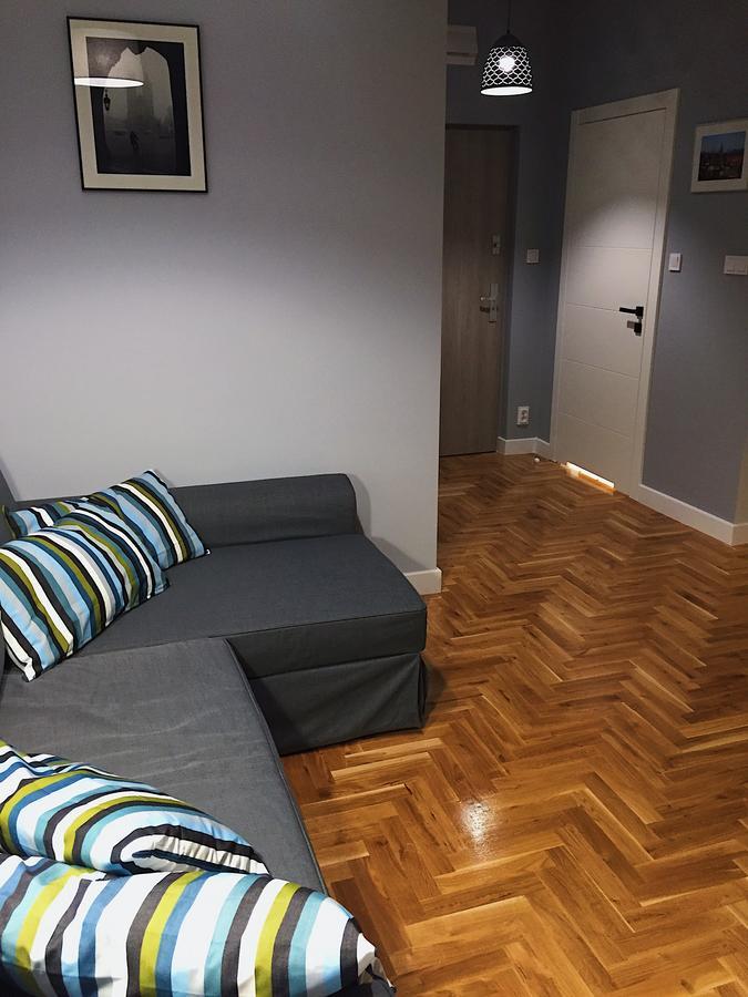 Grey Apartments Kosciuszko كراكوفيا المظهر الخارجي الصورة